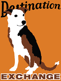 Speeder (mix breed)