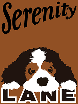 Trinity (cavalier king charles spaniel)