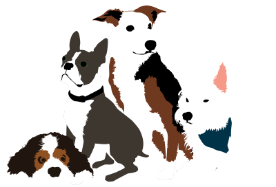 meet the dogs